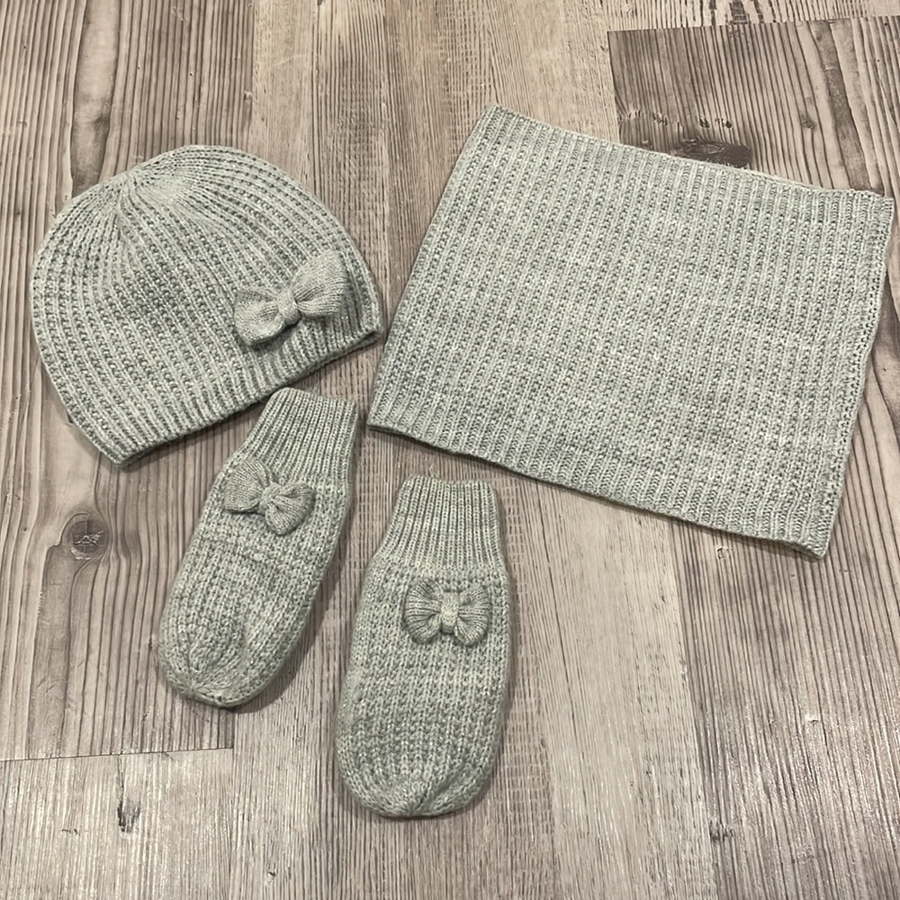 Adorable Gray 4pc Winter Set